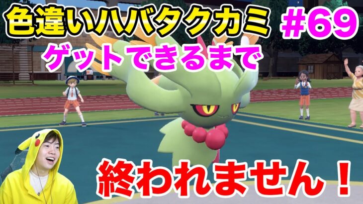 色違いハバタクカミをゲットしてランクで活躍するまで終われません！#69【ポケモンSV】