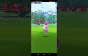 【ポケモンGO】ママンボウ色違い出たーｗｗｗ