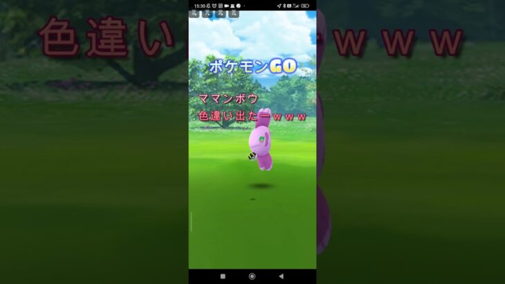 【ポケモンGO】ママンボウ色違い出たーｗｗｗ