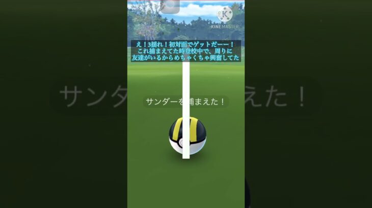 ガラルサンダーと初対面で初ゲット！?しかも個体が…[ポケモンGO]