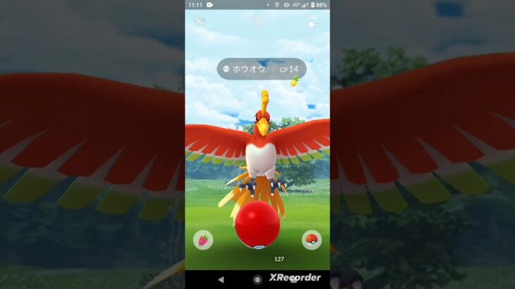 カメックスは分かるけど…野生ホウオウ(鳳凰)⁉️【ポケモンGO】#ゲーム実況 #ポケモン #pokemon