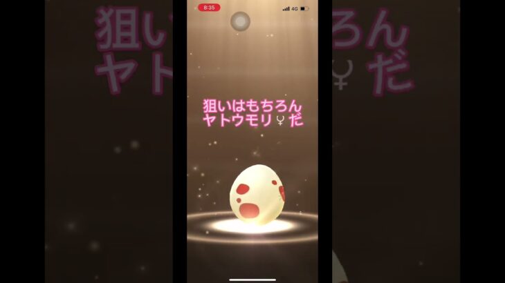 【ポケモンGO】12kmタマゴ×3🥚#shorts #ポケモンgo #ジャンボリーミッキー