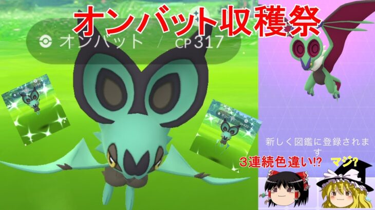 【ポケモンGO】色違い３連続出現!?色違いオンバット大量GET‼（「コミュニティ・デイ」：「オンバット」）