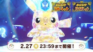 🔴【ポケモンSV】最強ピカチュウレイド期間突入 ＋ 視聴者同士の交流所（レイド募集・ポケモン交換・ポケモン対戦・攻略情報など） 2023年2月24日 朝～