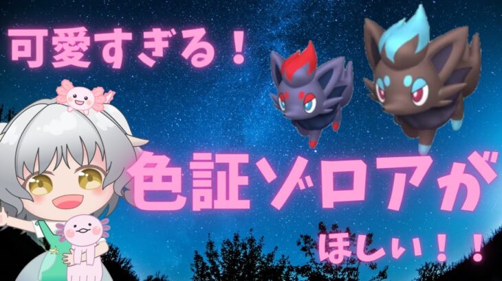 【ポケモンSV】ゾロアの色違いをつかまえる！！【色証・色違い厳選】