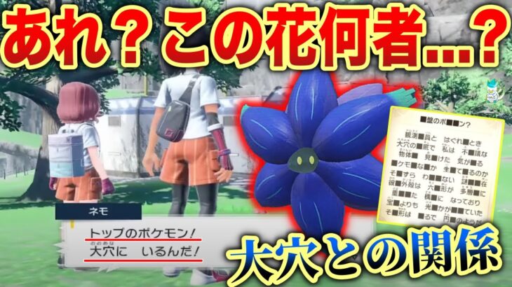 【謎の生態】何故トップのポケモンが大穴に？実はキラフロルは”テラスタルの脅威”を示していた…?【無駄図鑑】【エリアゼロ】【ポケモンSV】