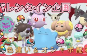 【ポケモンSV】　明日バレンタイン企画やりまっす！前準備枠！