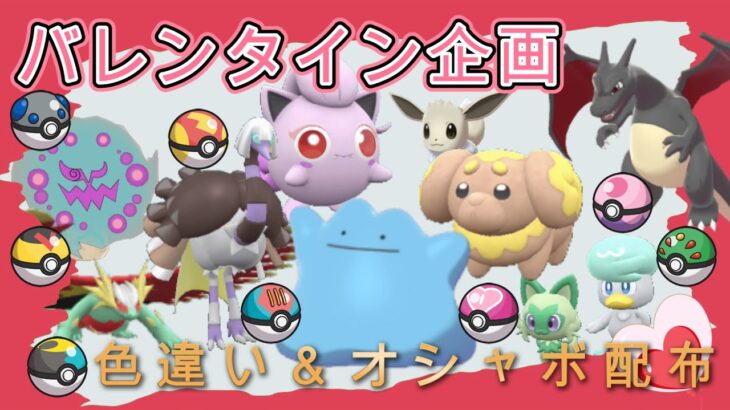 【ポケモンSV】　明日バレンタイン企画やりまっす！前準備枠！