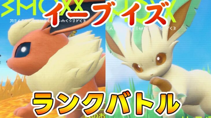 いつもとは違う景色イーブイズランクバトル【ポケモンSV】