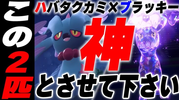 ハバタクカミとブラッキー投げてるだけで勝てちゃうねぇ【ポケモンSV】