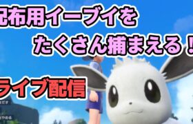 【ポケモンSV】配布用の色違いイーブイをたくさん捕まえちゃおう配信！