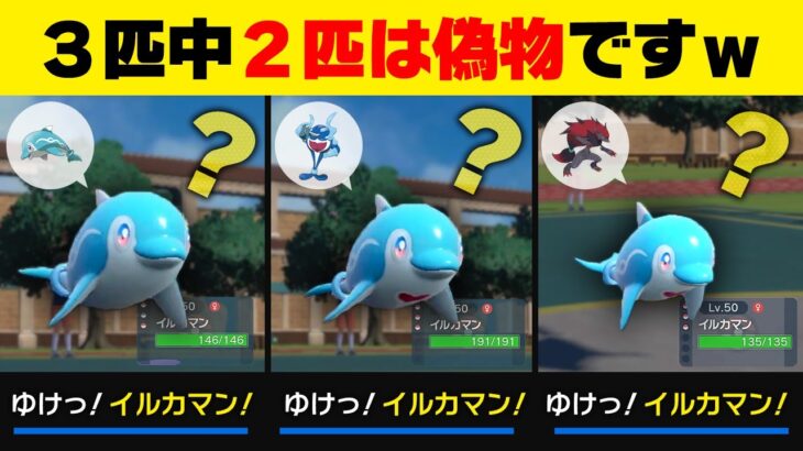 ナミイルカ、ゾロアークをイルカマンと混ぜたら相手は困惑して勝てるのでは？【ポケモンSV/ポケモンスカーレット/バイオレット】