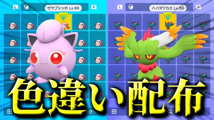 色違いサケブシッポ＆ハバタクカミ配布！！！【ポケモンSV】