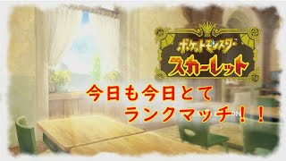 【ポケモンSV】今日もお昼からランクマッチ！！