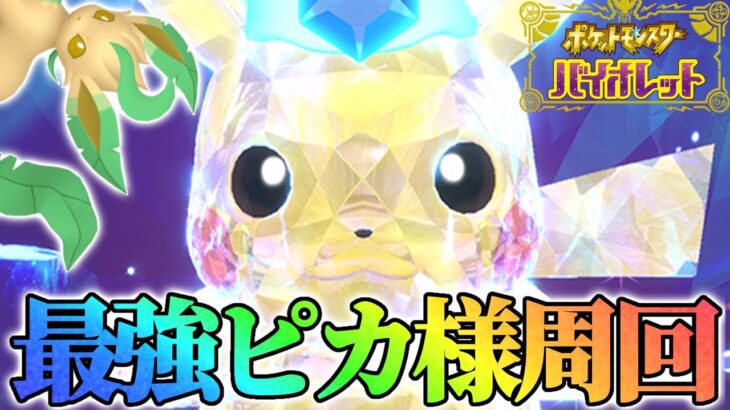 最強ピカチュウレイド周回する！【ポケモンSV】