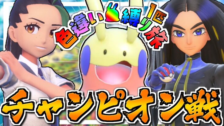 【ポケモンSV】ヌメラ1匹でチャンピオン二人を倒せ！！色違いヌメラ1匹縛り旅！！ ＃9【ゆっくり実況】【ポケモンスカーレット・バイオレット】