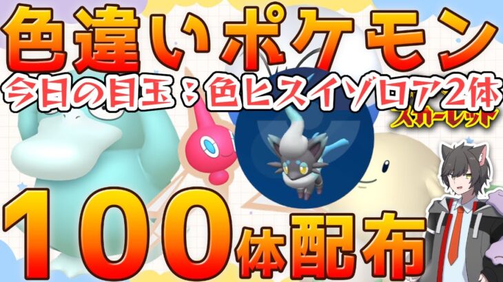 【ポケモンSV】色ヒスイゾロア2体を含む色違いポケモン100体配布 ！参加ルールは概要欄を見てね！