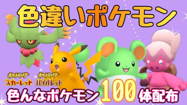 【ポケモンsv】ほんとにラスト！最後はゲッコウガ！色違い配布100体残り配布会！！証持ち多数！参加型！【初見さん歓迎！】