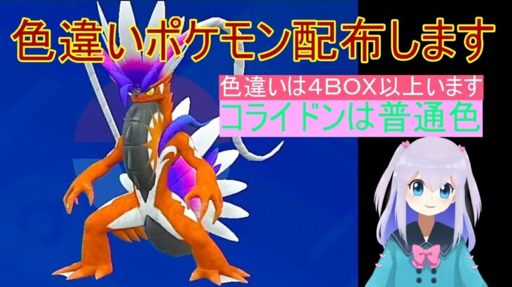 【ポケットモンスターバイオレット】誰にも言わず突然、色違いポケモン配布します。 ２択や３択をを当てるだけ！４ＢＯＸ以上用意してあります。コライドンは普通色です。