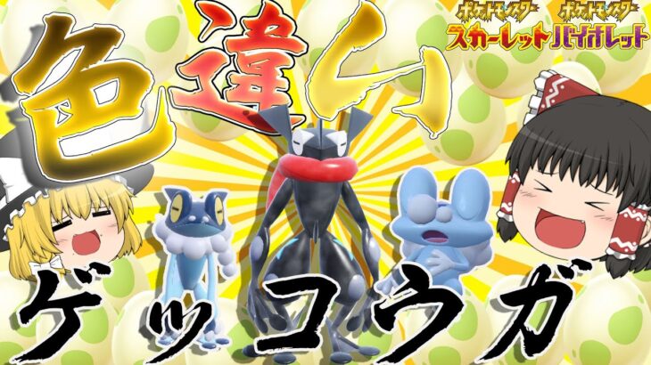 【ポケモンＳＶ】孵化最高効率色ゲッコウガ厳選！？ゲッコウガかっこよすぎる・・【ゆっくり実況】