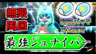 【参加型】最強ジュナイパー周回　パッチ2個確定　ミライドンorハラバリー必須【ポケモンSV】