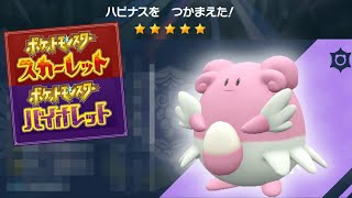 テラピース60個以上「ハピナスレイド」詳細を紹介！豪華報酬なので周回しましょう