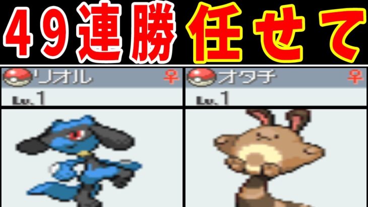 『レベル１』ならバトルタワー（マルチ）を４９連勝できるのでは？【ゆっくり実況】【ポケモンHGSS】