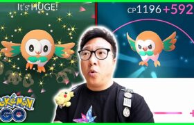 I Played Rowlet Spotlight Hour, BUT There Is a Problem… – Pokemon GO
