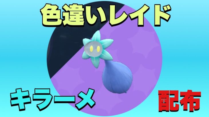 キラーメとアマカジの色違いレイド【ポケモンSV】