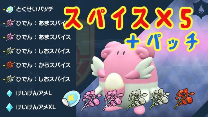 【ポケモンSV】スパイス５個パッチ確定レイド参加型（朝活）