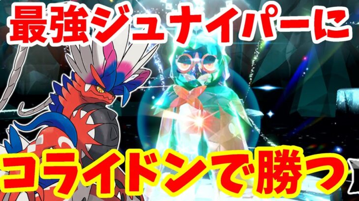 【ポケモンSV】最強ジュナイパーにコライドンで勝つ方法！コライドンだって強いんだ！【ポケモンスカーレットバイオレット】