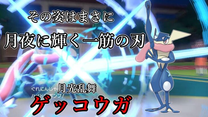 【ポケモンSV】その姿はまさに月光に輝く一筋の刃。月光乱舞、ゲッコウガ。【ゆっくり実況】