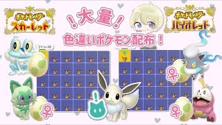 【ポケモンSV】色違いイーブイ大量配布！色卵ヒスイゾロア＆色卵御三家もあるよ！ブイズ1on1仲間大会前夜祭配布！