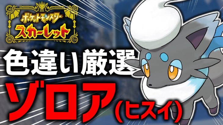 【ポケモンSV】”スパイスの力”で色違いヒスイゾロア孵化厳選する配信！#4