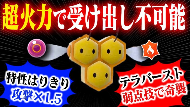 【抽選パ】ミツハニーさん、「テラスタル」＆「はりきり」で理論上最強ポケモンになってしまうwwwもう誰も受からんwww #16-2【ポケモンSV/ポケモンスカーレットバイオレット】