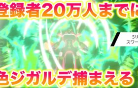 #2 登録者20万人までにダイベンで色違い伝説「ジガルデ」を捕まえて伝説のYouTuberを目指す！【ポケモン剣盾DLC/冠の雪原】