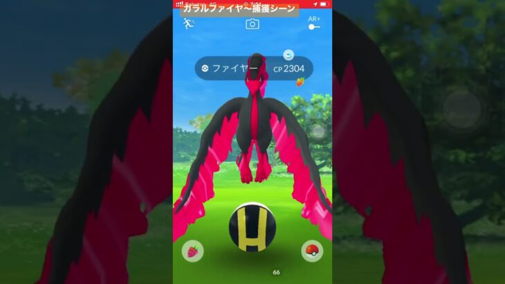 ポケモンGOガラル三鳥ファイヤー捕獲シーン当たれば1発プッシュ