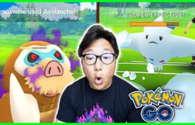 Level 50 Shadow Mamoswine Goes CRAZY in the Go Battle Master League in Pokemon GO