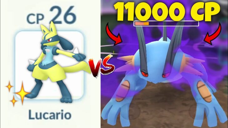 *ONE* Shiny LUCARIO vs 11000 CP Shadow Swampert team in Pokemon GO!