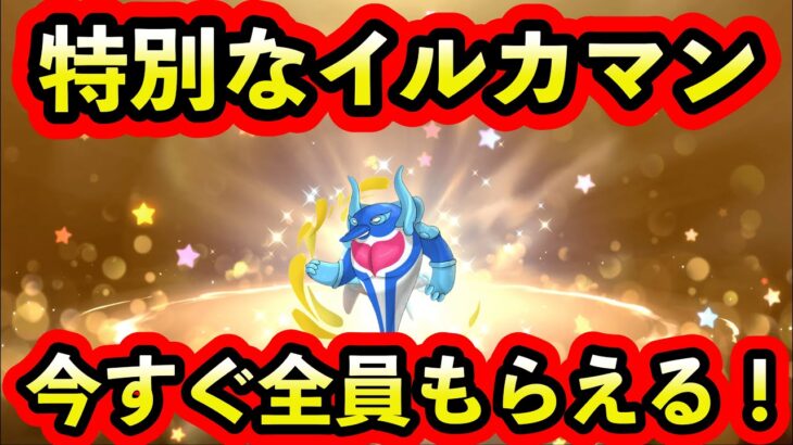 【ポケモンSV】限定のイルカマンの配信がスタート！すぐにもらおう！