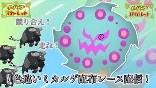 【ポケモンSV】固定シンボル色違いミカルゲ配布！ミカルゲ争奪戦レース配信！ミカルゲダービー！