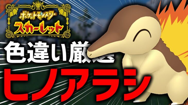 【ポケモンSV】いっそ出るまで！ヒノアラシ孵化厳選配信！#5【孵化数1280越え】