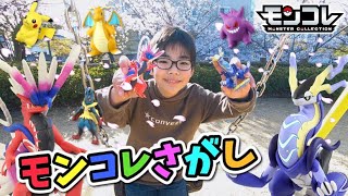 【モンコレをさがせ！】桜満開の公園でポケモンゲットだぜ！ポケモンSVのコライドンとミライドンも仲間入り！【ポケットモンスター】コーキtv