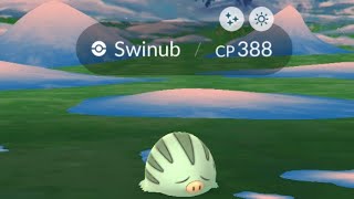Swinub Community Day Classic – Shiny Hunt Live (Pokemon GO)