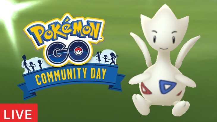 Togetic Community Day Live Shiny Hunt (Pokemon GO)