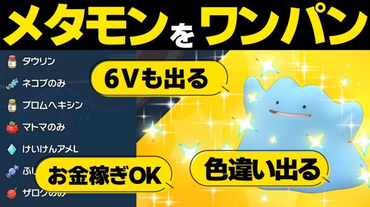 【ポケモンsv メタモンレイド対策】色違いや6V出るからワンパン高速周回しよう！ ソロ お金稼ぎ 金策 イロチ