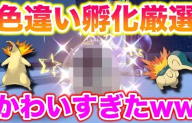 【孵化厳選】ヒノアラシ(バクフーン)の色違いが最高にかわいすぎたww【ポケモンSV/スカバイ】