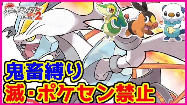 【鬼畜縛り】滅・ポケモンセンター禁止マラソン～イッシュ2編～#19【ポケモンBW2】