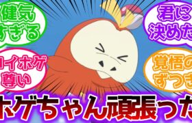 【アニポケ6話】自分からゲットされにいくホゲータが可愛すぎる【ポケモン反応集】