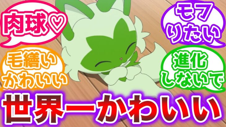 【アニポケ7話】明かされるぐるみんの正体と可愛すぎるニャオハの毛づくろい【ポケモン反応集】